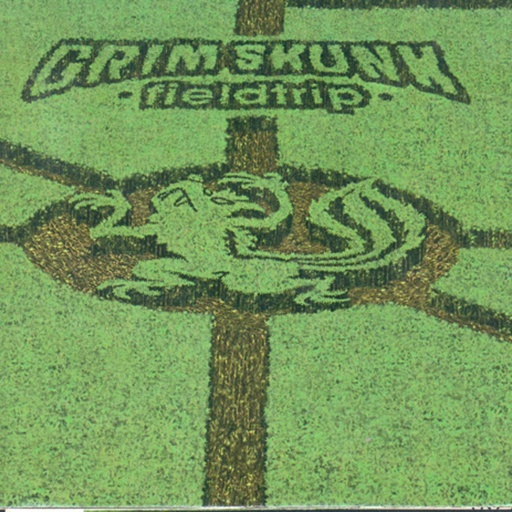 [INDLP119] GrimSkunk - Fieldtrip - LP Vinyl