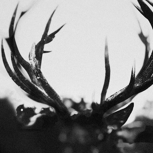 [CNDL800233P] IHSAHN - Ihsahn - Double LP Vinyle
